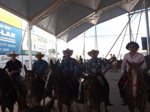 DSCF9262