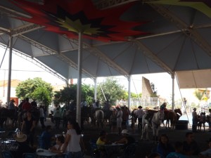 DSCF9306