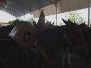 DSCF9312