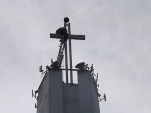 DSCF1042