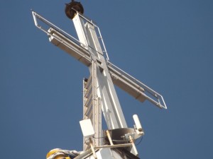DSCF1045