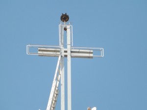 DSCF1048