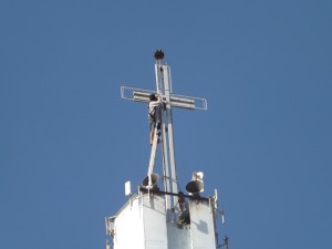 DSCF1050