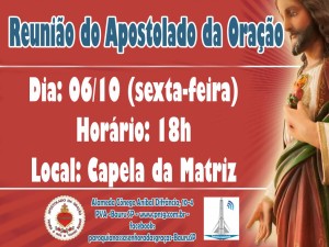 apostoladoOUT